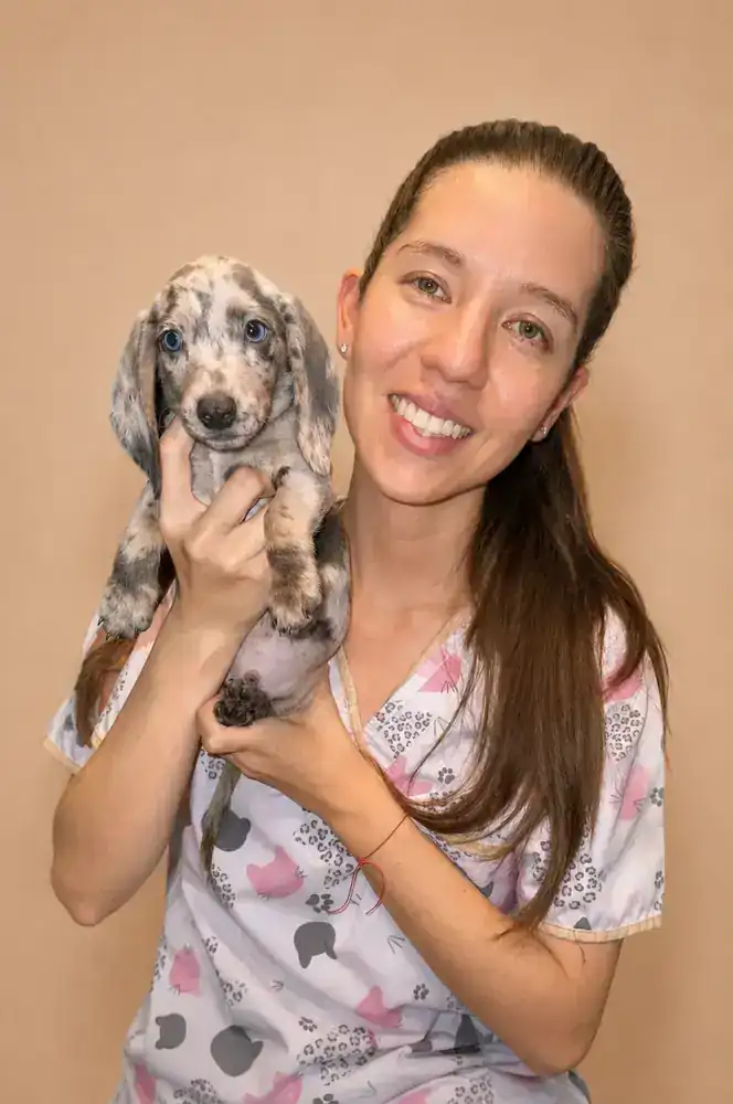Dra. Lourdes Moreno, veterinaria de Salchichas de la Realeza